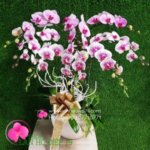 Chậu hoa lan hồ điệp đẹp với thiết kế 8 cành hoa lan hồ điệp độc đáo